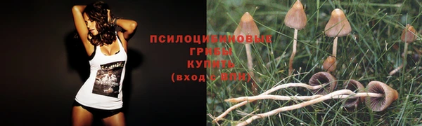 МДПВ Беломорск