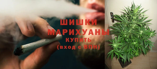 ПСИЛОЦИБИНОВЫЕ ГРИБЫ Белоозёрский