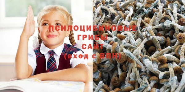 MDMA Белокуриха