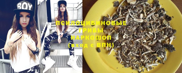 ПСИЛОЦИБИНОВЫЕ ГРИБЫ Белоозёрский