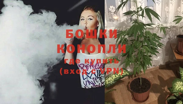 дживик Тобольск