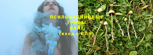 ПСИЛОЦИБИНОВЫЕ ГРИБЫ Белоозёрский